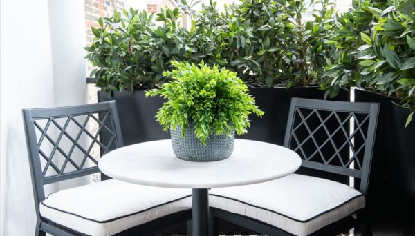Prince of Wales Terrace W8 5PG